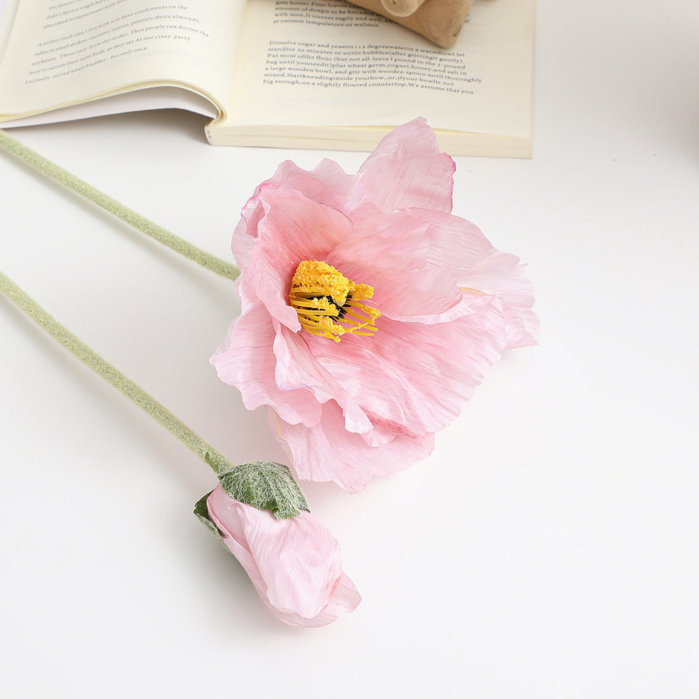 Realistic Artistic Poppy Flower | Kelmera