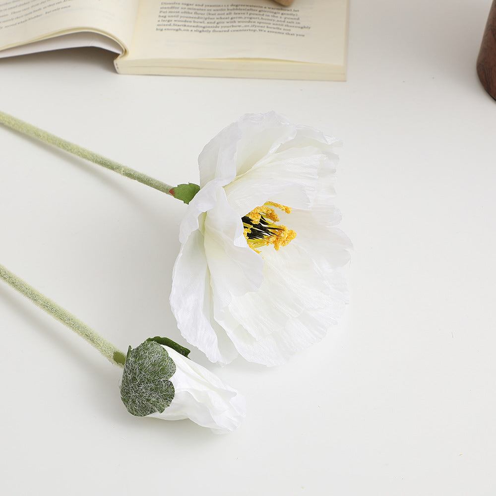 Realistic Artistic Poppy Flower | Kelmera