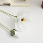 Realistic Artistic Poppy Flower | Kelmera