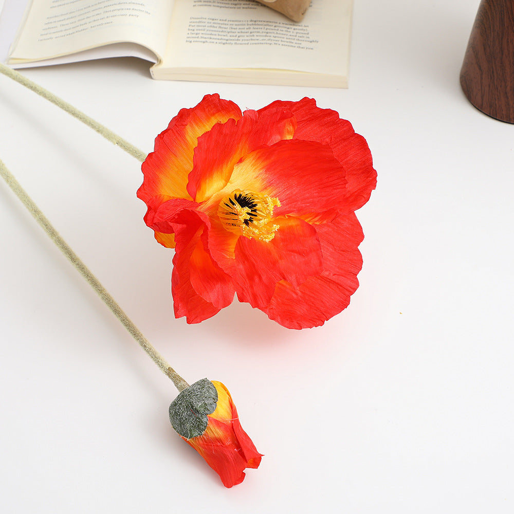 Realistic Artistic Poppy Flower | Kelmera