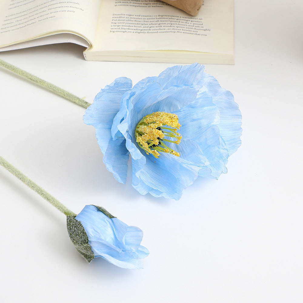 Realistic Artistic Poppy Flower | Kelmera