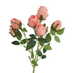 Realistic Kunstrose with Detailed Flowers | Kelmera