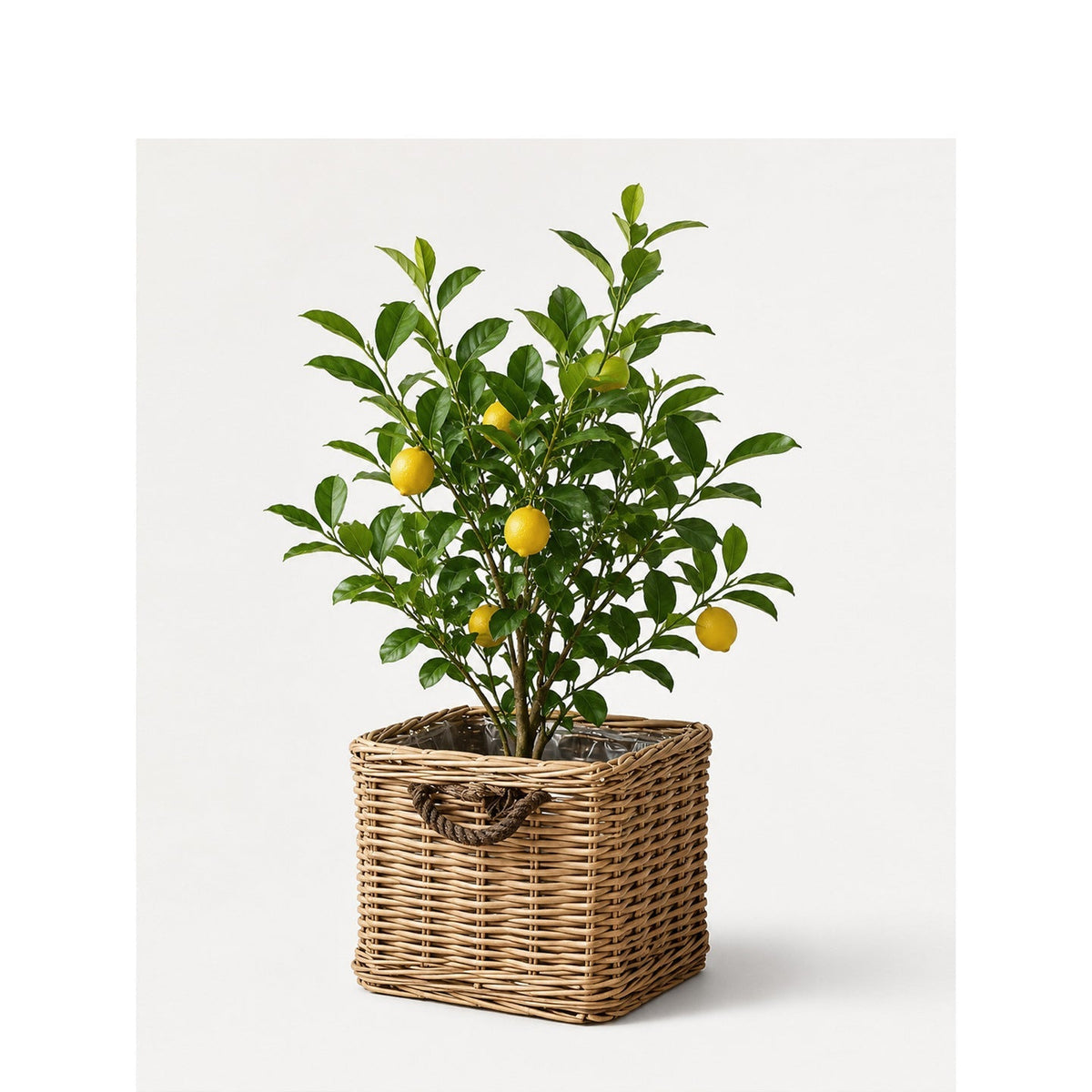 Robust Storage Basket with Reinforced Handles | Kelmera