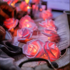 Rose-Shaped LED String Lights Romantic Flower Garland | Kelmera