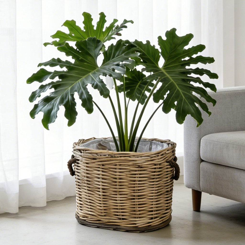 Rustic Laundry Basket with Decorative Handles | Kelmera