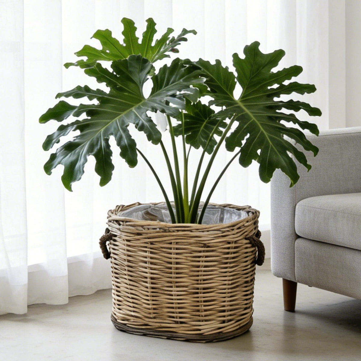 Rustic Laundry Basket with Decorative Handles | Kelmera
