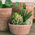 Rustic Plant Pot | Kelmera