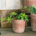 Rustic Plant Pot | Kelmera