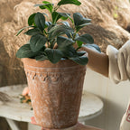 Rustic Terracotta Plant Pot | Kelmera
