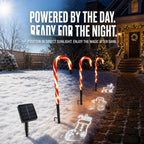 Solar-Powered Projecting Candy Cane Path Lights | Kelmera