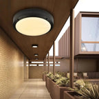 Sordora Outdoor Light