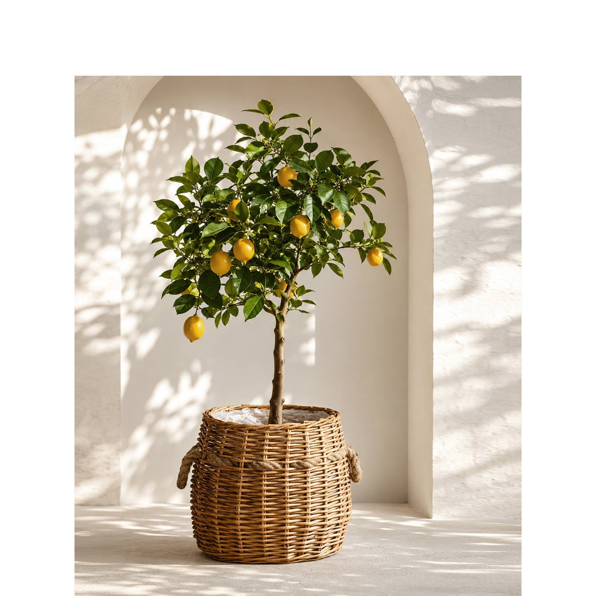 Storage Basket Handwoven Natural | Kelmera