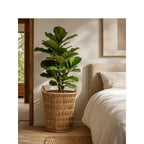 Storage Basket Model Exgq | Kelmera