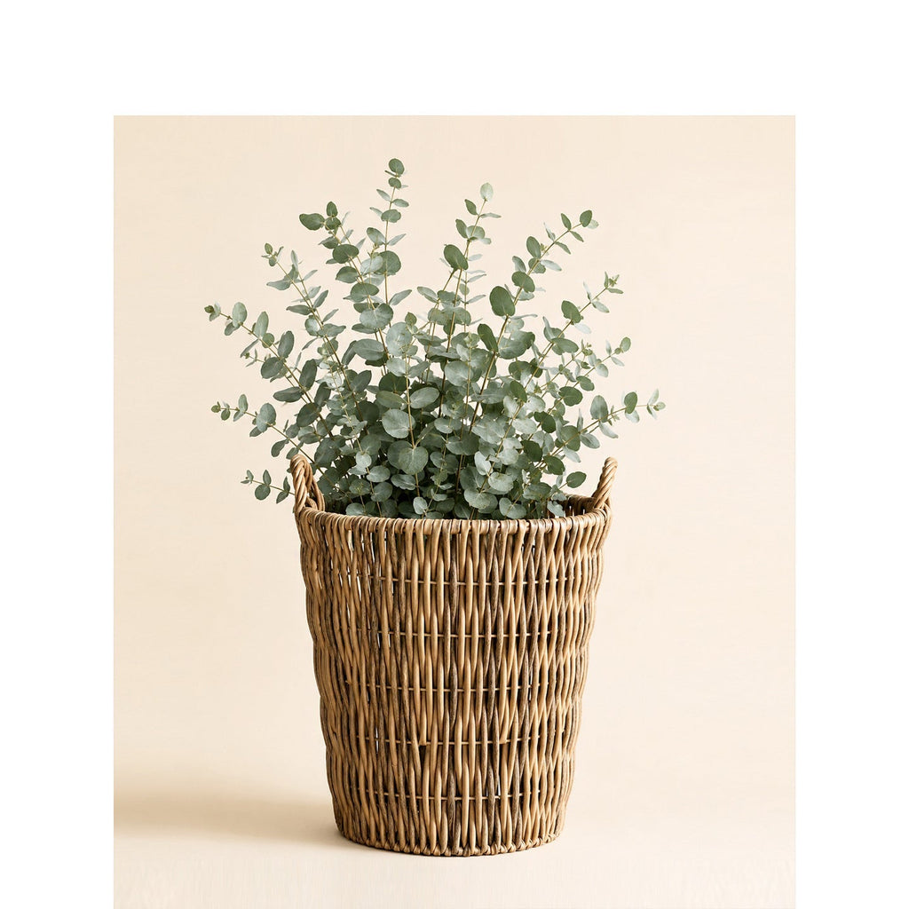Storage Basket Model Exgq | Kelmera