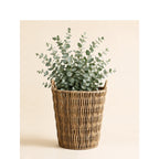 Storage Basket Model Exgq | Kelmera