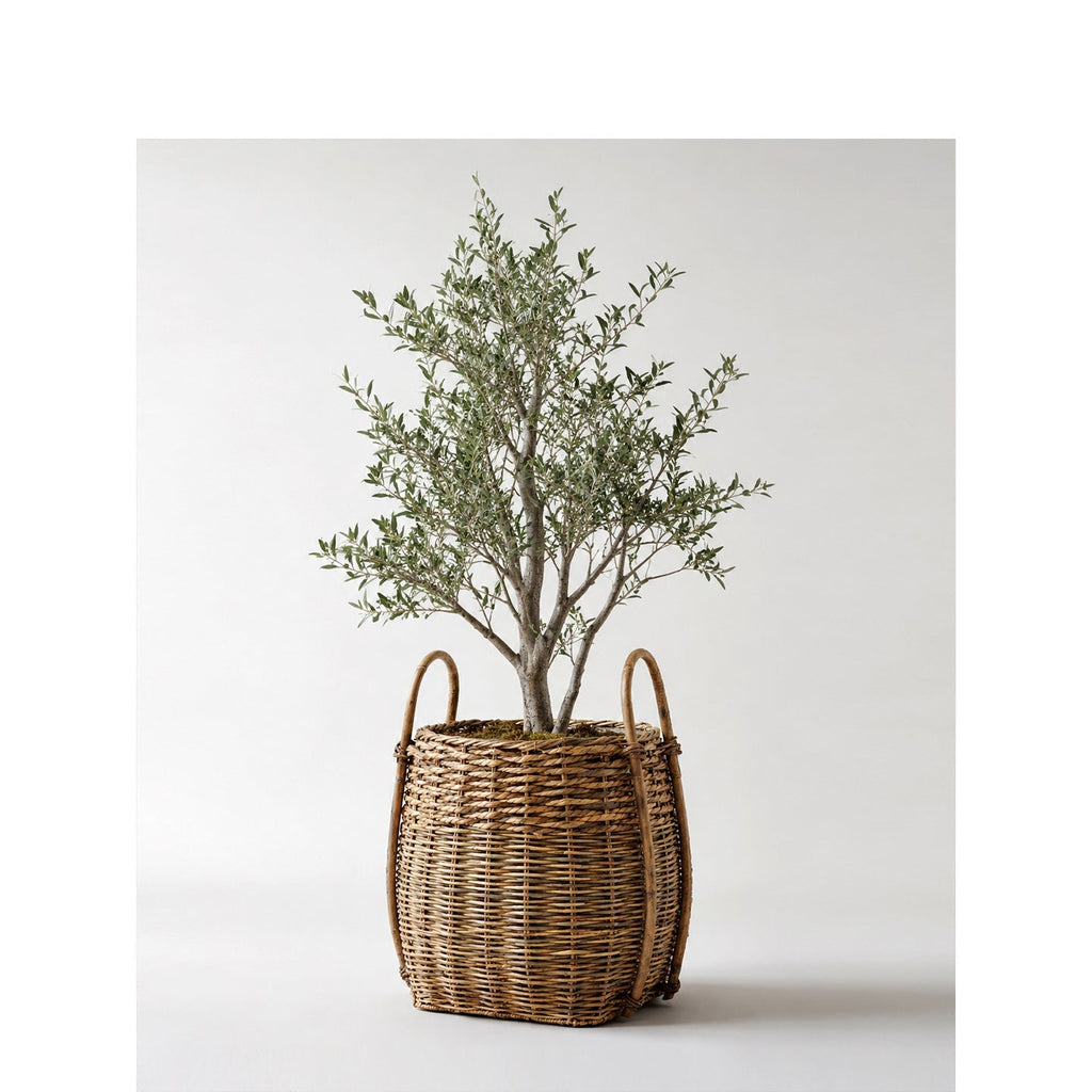 Storage Basket Model Y7Vn | Kelmera