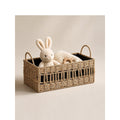 Storage Basket Two Small Large Solution Organized | Kelmera