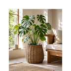 Stylish Laundry Basket | Kelmera