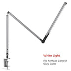 Telbyra Desk Lamp