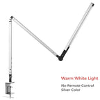 Telbyra Desk Lamp
