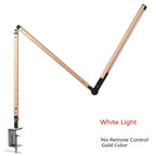 Telbyra Desk Lamp