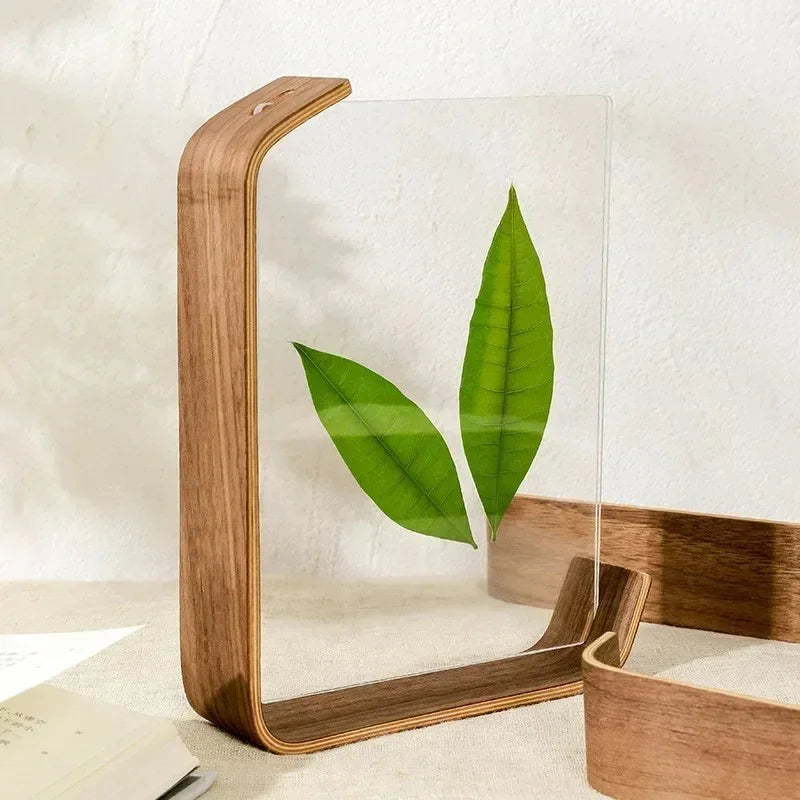Telbyra Frame Collection