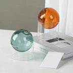Tomar Hydroponic Vase | Kelmera