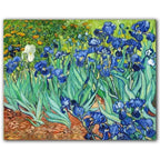 Urvirra Wall Arts by Vincent Van Gogh