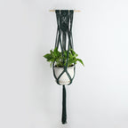 Wall Decoration Dark Green Earth Tones | Kelmera