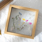 Wenfara Frame Collection