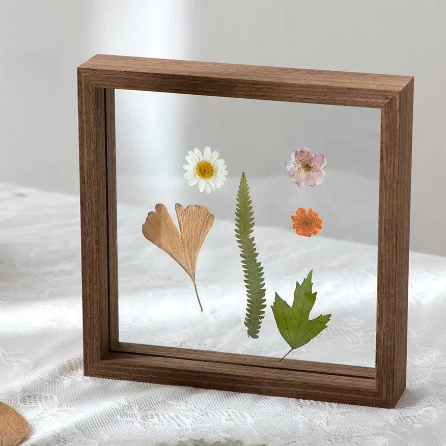Wenfara Frame Collection