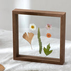 Wenfara Frame Collection