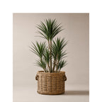 Willow Woven Basket with Inner Lining | Kelmera