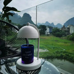 Yelnia Candle Warmer Lamp
