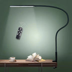 Yeltuna LED Desk Lamp