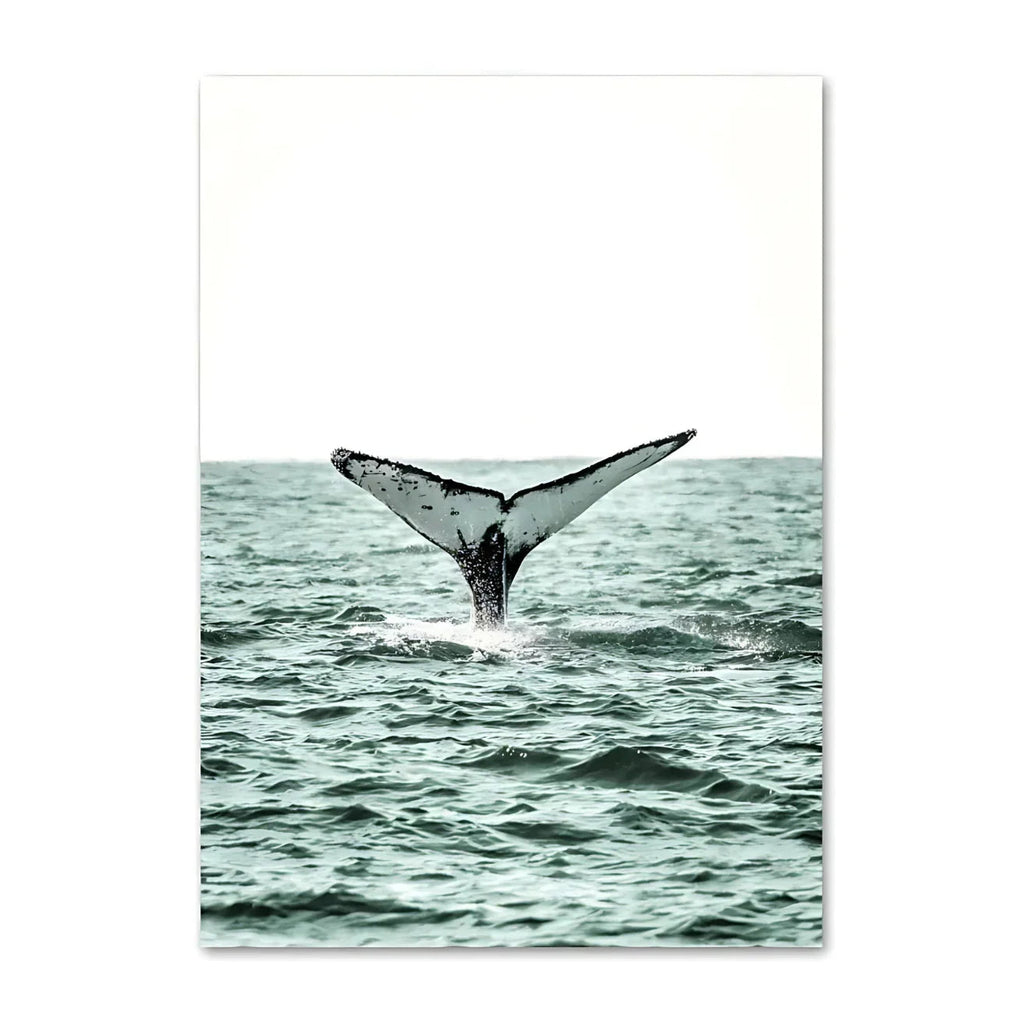 Zelmelta Print Collection