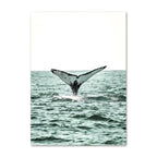 Zelmelta Print Collection