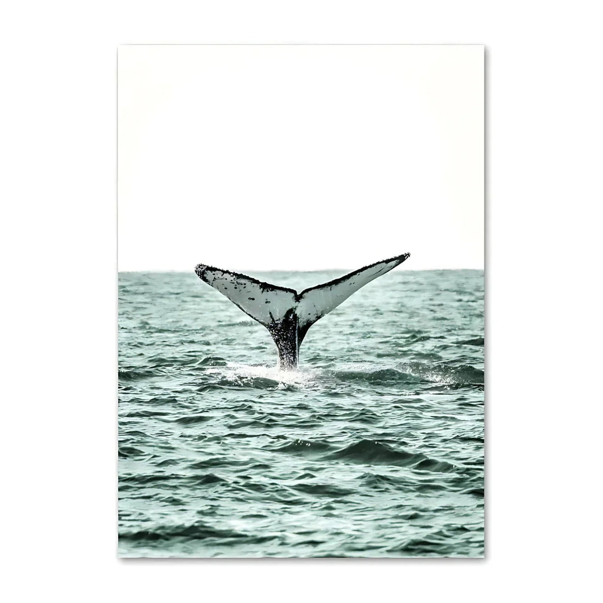 Zelmelta Print Collection