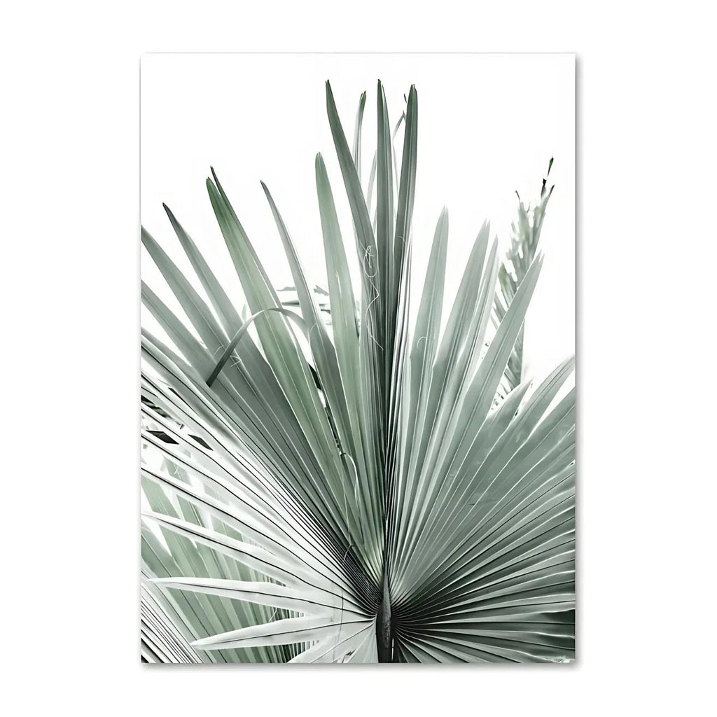 Zelmelta Print Collection