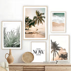 Zelmelta Print Collection