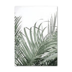 Zelmelta Print Collection