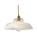 Zelndirra Pendant Lamp - Glass