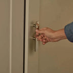 Zelsita Door & Cabinet Handle